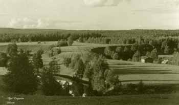 Algots sommarbild
